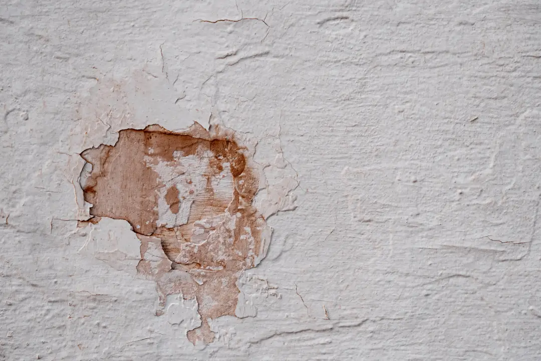 Can Damp Proofing Increase Property Value Find Out How Environ