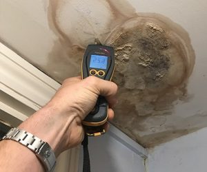 when to call damp experts in london