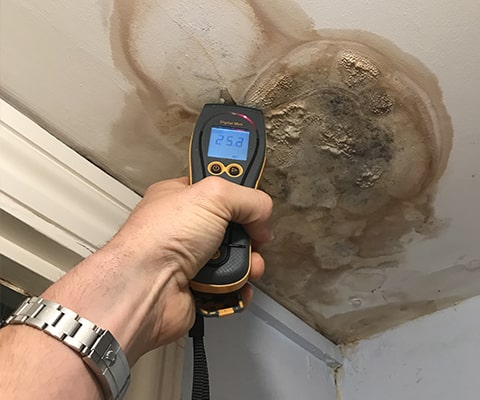 when to call damp experts in london