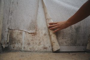 Types Of Damp And How To Treat Them