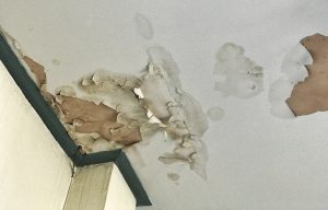 How to Repair Water Damage at Your Property