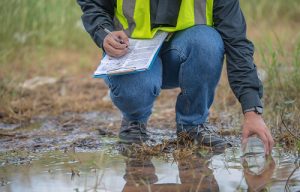 damp survey solutions