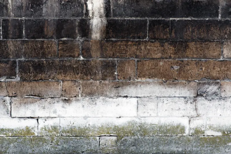Is Brick Cleaning Worth It?