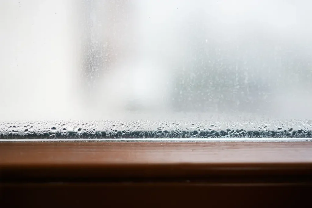 Experiencing Condensation Issues in Your Home