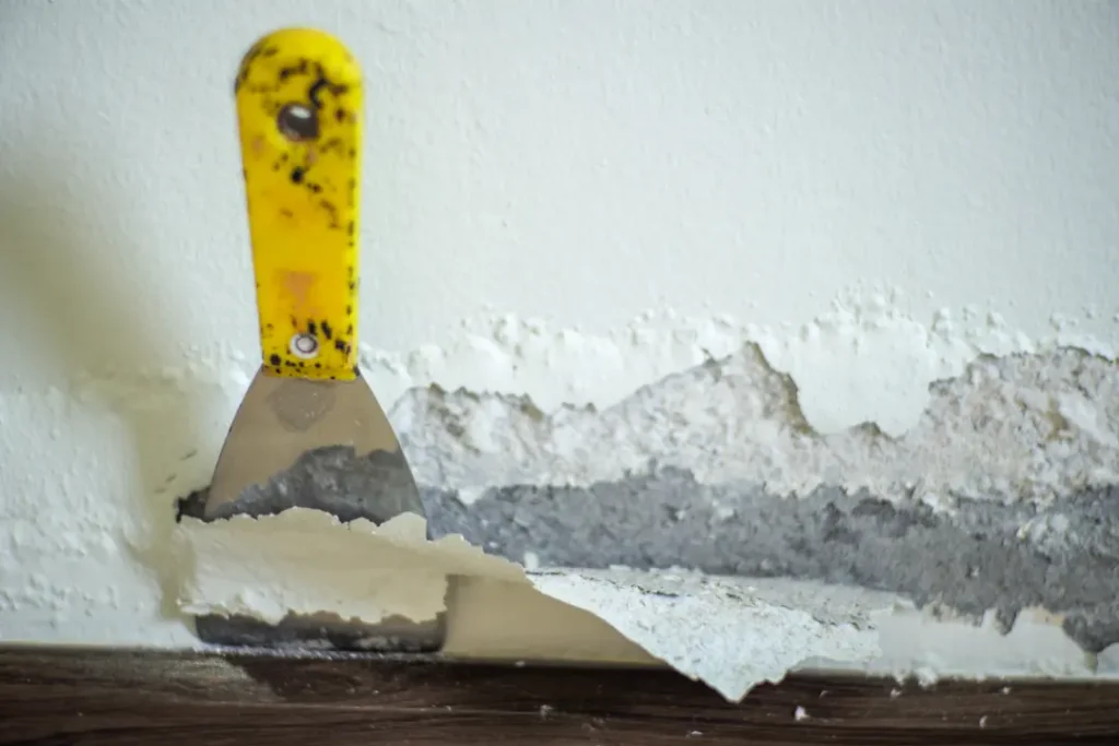 Cost of a Damp Proofing Inspection