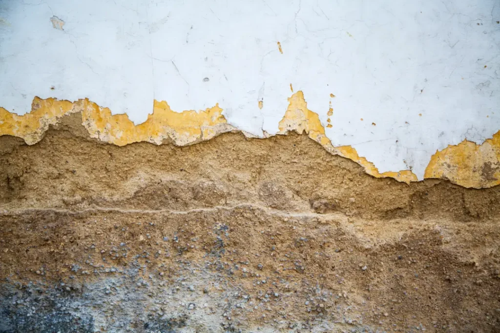 Tools and Techniques Used in Damp Proofing
