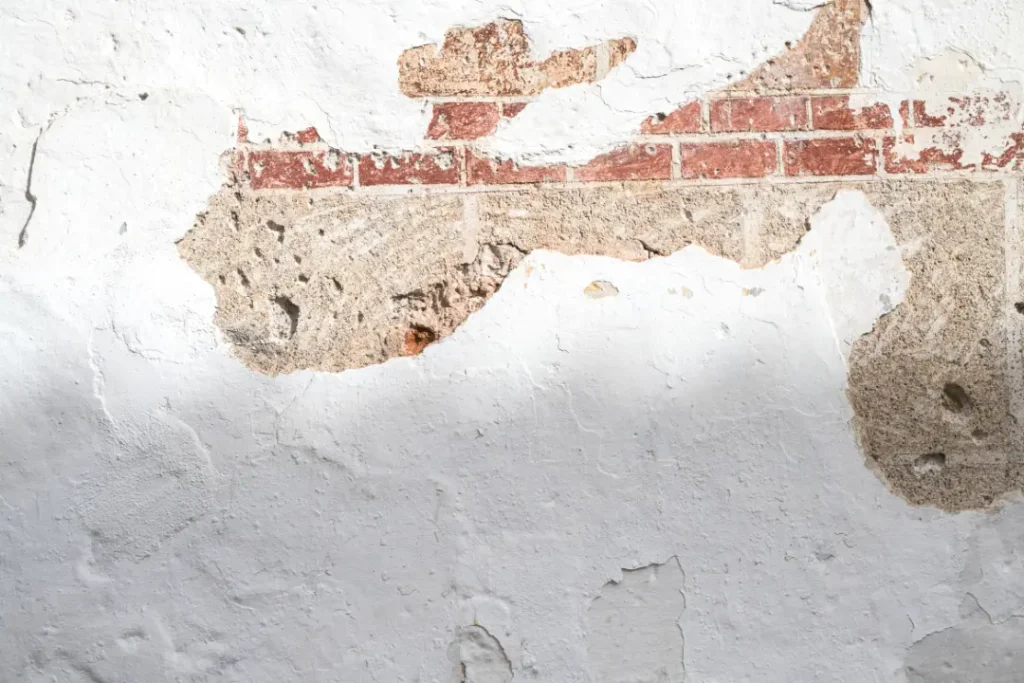 Understanding Damp Proofing Repairs