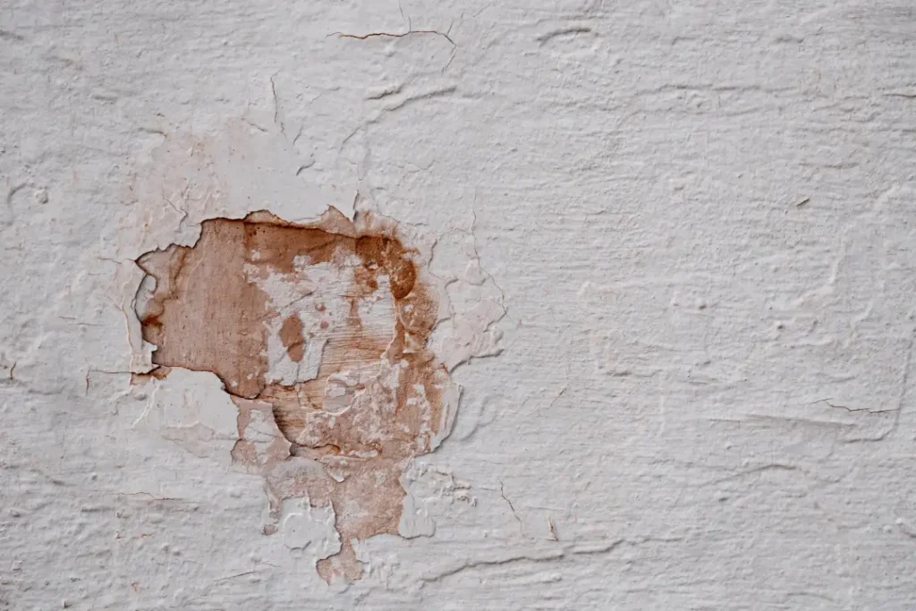 Common Problems Without Proper Damp Protection