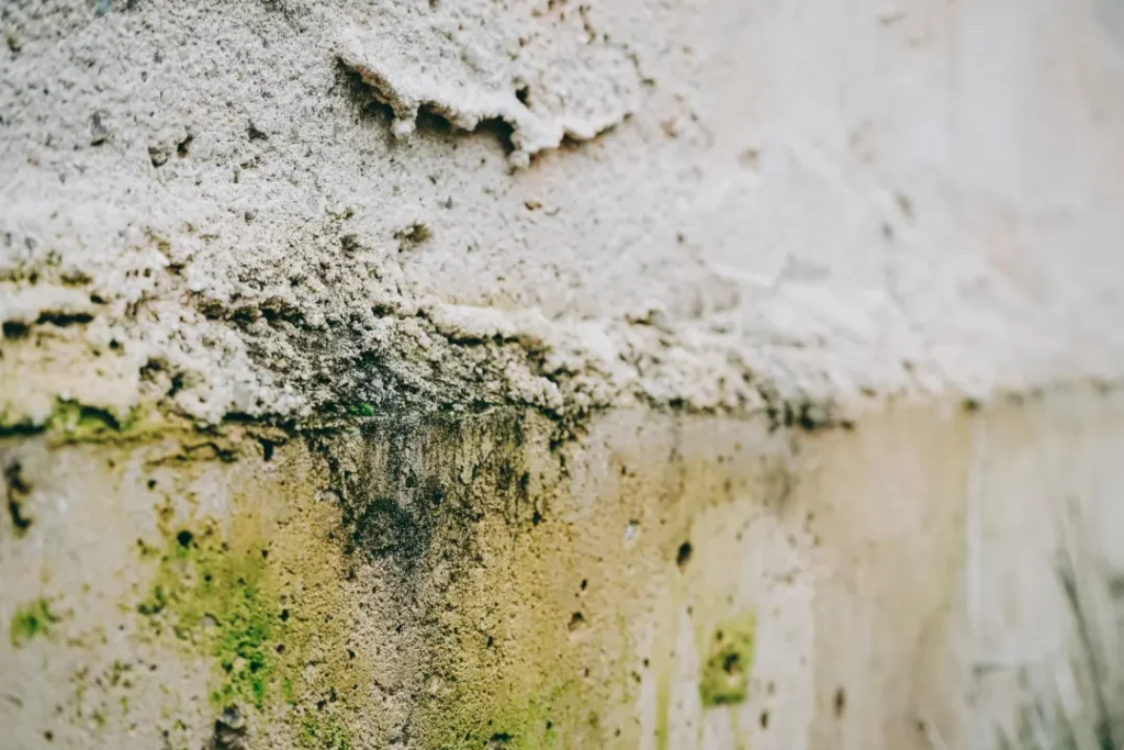 Comparing Damp Proofing and Damp Proof Membranes
