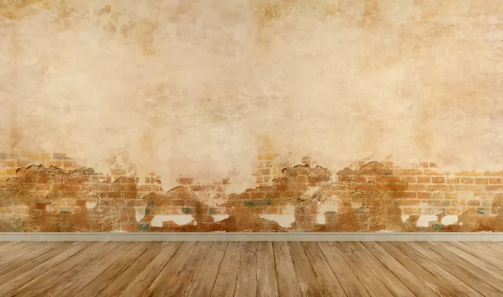 Comprehensive Damp Proofing Services Offered