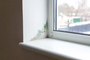 Enhancing Ventilation to Prevent Damp