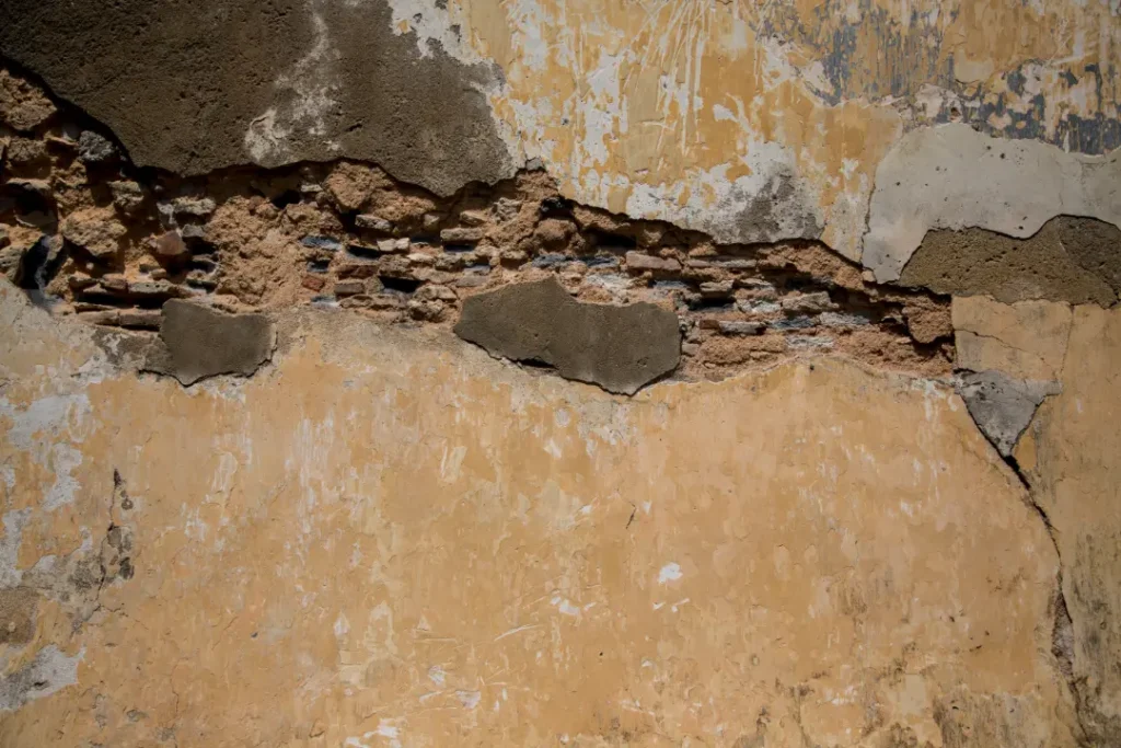 Understanding Rising Damp