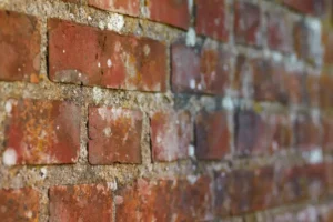 The Importance of Professional Repointing Services