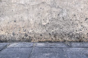 dirty concrete wall that tile floor texture backgr 2025 03 10 18 40 14 utc