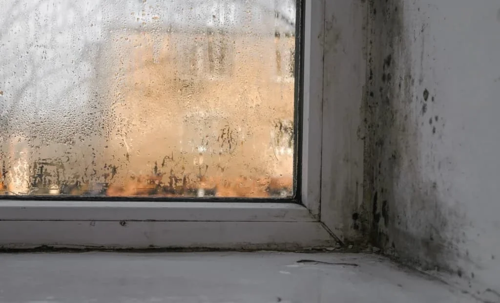 damp issues