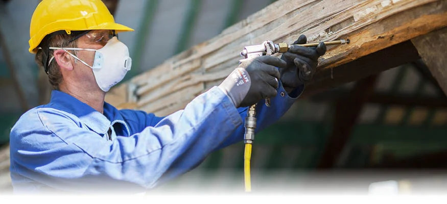 woodworm treatment