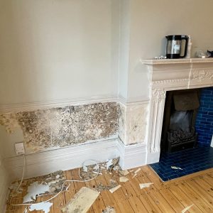 Mould Removal London